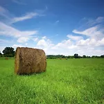 Near Gerardmer Holiday home *