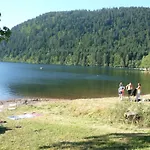 Near Gerardmer Holiday home