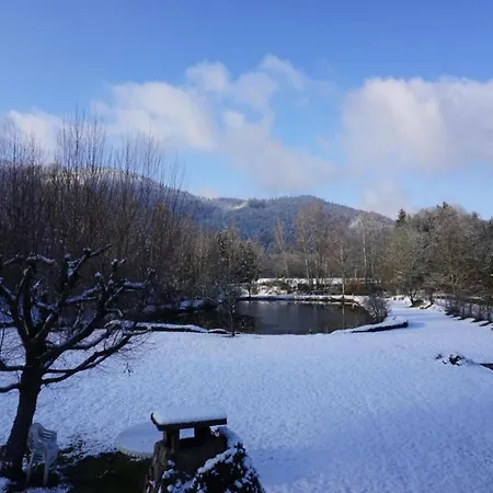 Дом отдыха Near Gerardmer Vagney