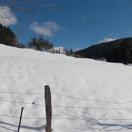 Prázdninový dům Near Gerardmer