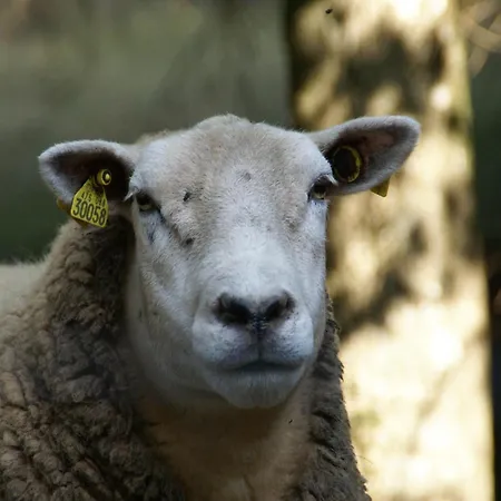 Prázdninový dům Near Gerardmer *