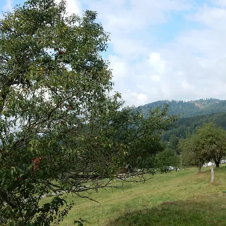 Near Gerardmer
