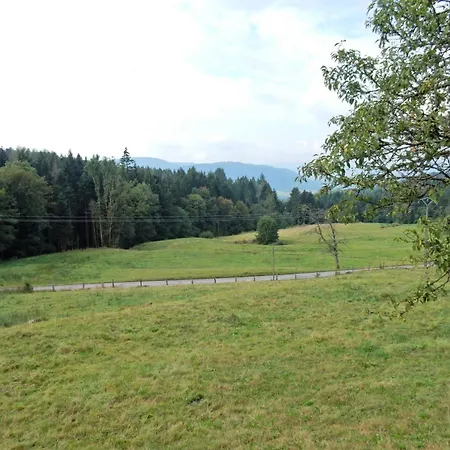 Near Gerardmer Дом отдыха *