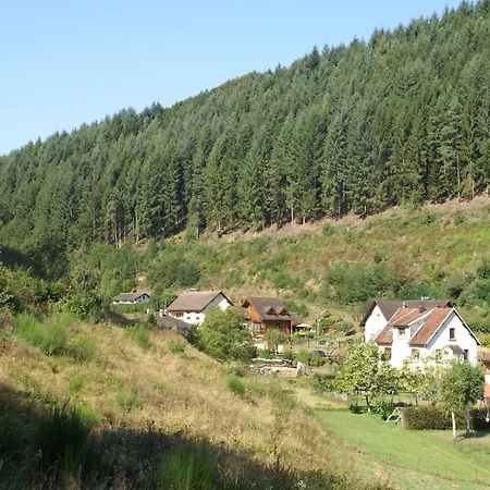 Дом отдыха Near Gerardmer Vagney