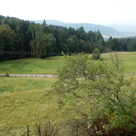 Near Gerardmer Дом отдыха *