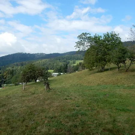 Near Gerardmer Дом отдыха *