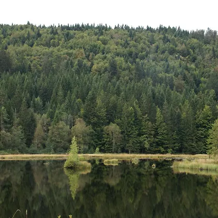 Near Gerardmer * Vagney