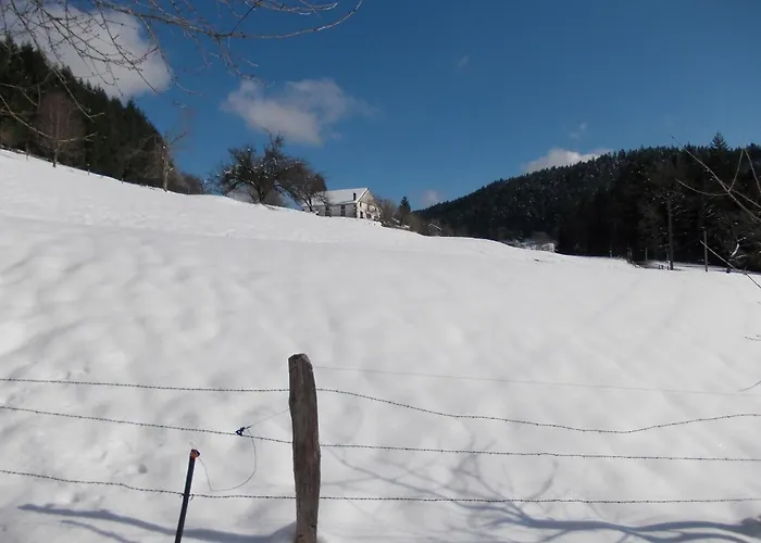Prázdninový dům Near Gerardmer