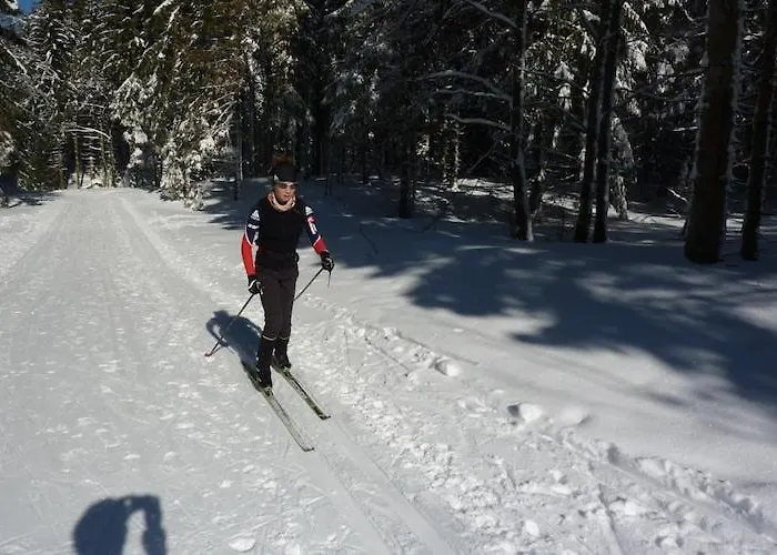 Near Gerardmer * Vagney
