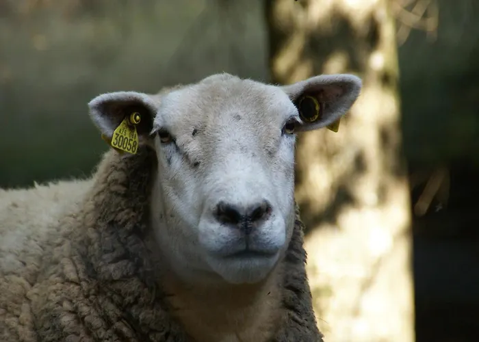 Prázdninový dům Near Gerardmer *