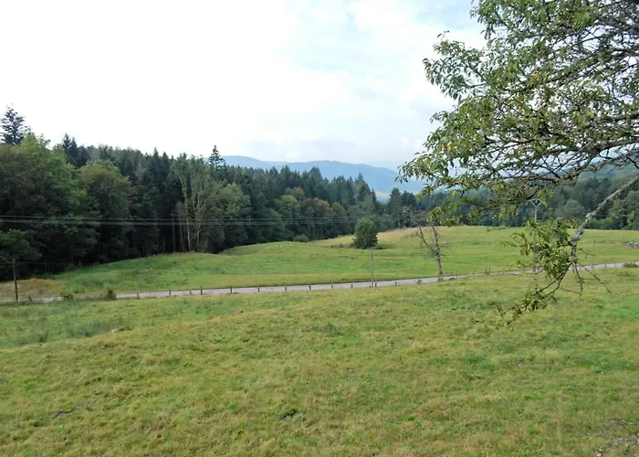 Near Gerardmer Prázdninový dům *