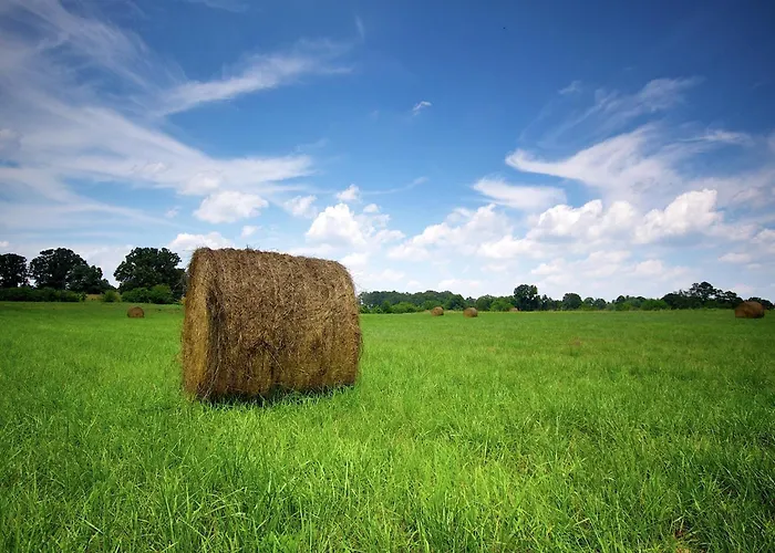 Near Gerardmer Prázdninový dům *