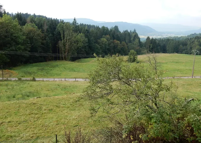 Near Gerardmer Prázdninový dům *