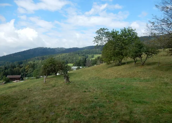 Near Gerardmer Prázdninový dům *