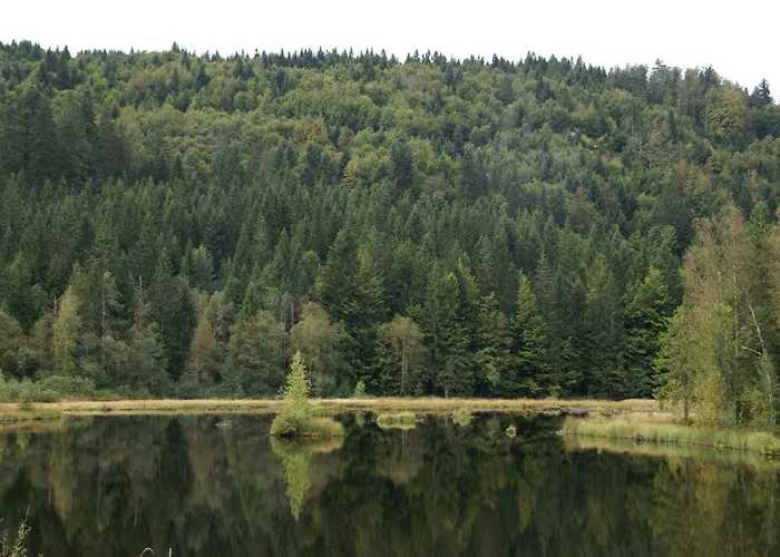 Near Gerardmer * Vagney